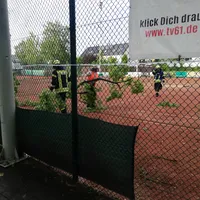 img_20220520_194121.jpg